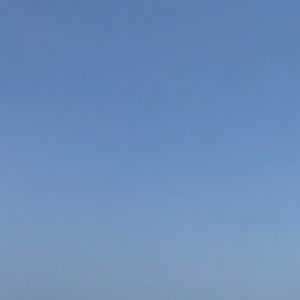 Meet your Posher, Michele